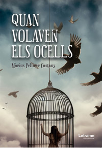Quan Volaven els Ocells - Màrius Pellicer Castany - E-Book