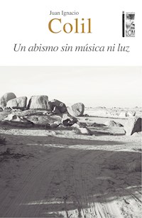 Un abismo sin música ni luz - Juan Ignacio Colil Abricot - E-Book