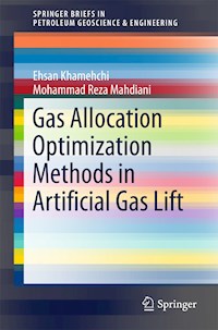 Gas Allocation Optimization Methods in Artificial Gas Lift - Ehsan Khamehchi - E-Book