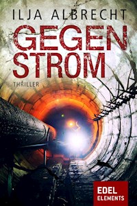 Gegenstrom - Ilja Albrecht - E-Book