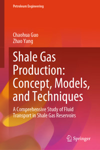 Shale Gas Production: Concept, Models, and Techniques - Chaohua Guo - E-Book