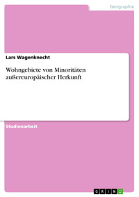 Wohngebiete von Minoritäten außereuropäischer Herkunft - Lars Wagenknecht - E-Book