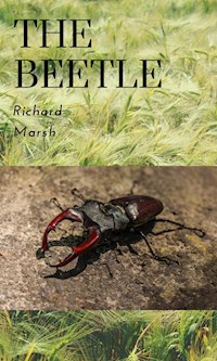 The Beetle - Marsh Richard - E-Book
