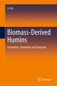 Biomass-Derived Humins - Li Liu - E-Book