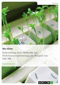 Entwicklung einer Methodik zur Performanceoptimierung am Beispiel von SAP BW - Nils Gröer - E-Book