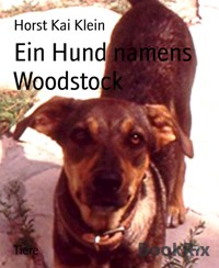 Ein Hund namens Woodstock - Horst Kai Klein - E-Book