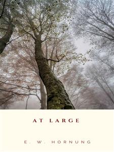 At Large - E. W. Hornung - E-Book
