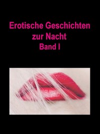 Erotische Geschichten zur Nacht - Abigail Conner - E-Book