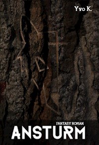 ANSTURM - Yvo K. - E-Book