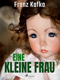 Eine kleine Frau - Franz  kafka - E-Book