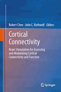 Cortical Connectivity -  - E-Book