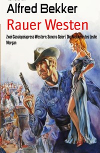 Rauer Westen - Alfred Bekker - E-Book