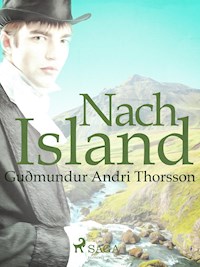 Nach Island - Guðmundur Andri Thorsson - E-Book