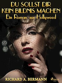 Du sollst dir kein Bildnis machen - Ein Roman aus Hollywood - Arnold Höllriegel - E-Book
