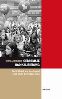 Gebremste Radikalisierung - Knud Andresen - E-Book