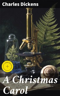 A Christmas Carol - Charles Dickens. - E-Book