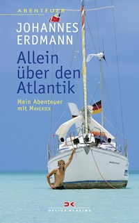 Allein über den Atlantik - Johannes Erdmann - E-Book