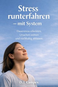Stress runterfahren – mit System - D.J. Campes - E-Book