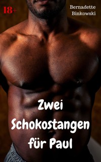 Zwei Schokostangen für Paul - Bernadette Binkowski - E-Book
