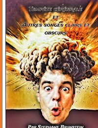 Tempête cérébrale - Stephane Brunstein - E-Book