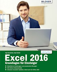Excel 2016 - Grundlagen für Einsteiger - Anja Schmid - E-Book