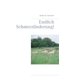 Endlich Schmerzlinderung! - Stefan Schramm - E-Book