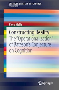 Constructing Reality - Piero Mella - E-Book