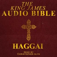 Haggai - Christopher Glyn - Hörbuch