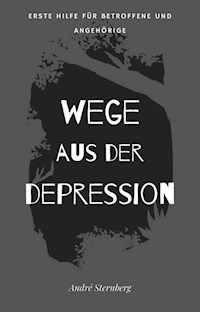 Wege aus der Depression - Andre Sternberg - E-Book