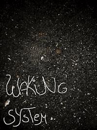 Waking System - null KreaRe - E-Book