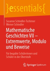 Mathematische Geschichten VII – Extremwerte, Modulo und Beweise - Susanne Schindler-Tschirner - E-Book