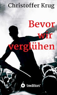 Bevor wir verglühen - Christoffer Krug - E-Book