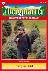 Irrweg ins Glück - Toni Waidacher - E-Book