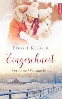 Eingeschneit - Birgit Kluger - E-Book