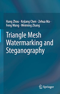 Triangle Mesh Watermarking and Steganography - Hang Zhou - E-Book