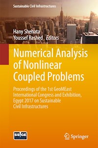 Numerical Analysis of Nonlinear Coupled Problems - - E-Book