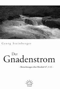 Der Gnadenstrom - Georg Steinberger - E-Book