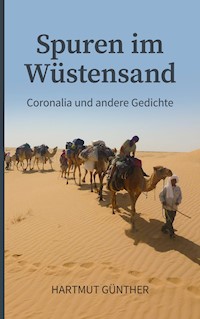 Spuren im Wüstensand - Hartmut Günther - E-Book
