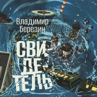 Свидетель - Владимир Березин - Hörbuch