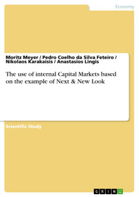The use of internal Capital Markets based on the example of Next & New Look - Moritz Meyer - E-Book