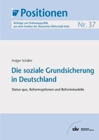 Die soziale Grundsicherung in Deutschland - Holger Schäfer - E-Book