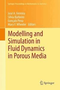 Modelling and Simulation in Fluid Dynamics in Porous Media -  - E-Book
