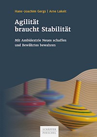 Agilität braucht Stabilität - Hans-Joachim Gergs - E-Book