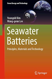 Seawater Batteries - Youngsik Kim - E-Book