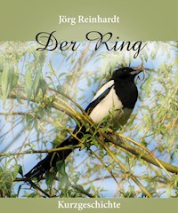 Der Ring - Jörg Reinhardt - E-Book