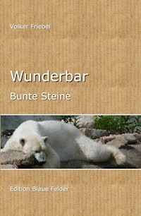 Wunderbar - Volker Friebel - E-Book