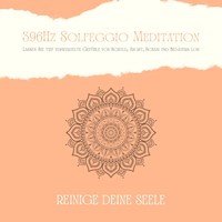 396Hz Solfeggio Meditation: Lassen Sie tiefverwurzelte Gefühle von Schuld, Angst, Scham und Bedauern los - Patrick Lynen - Hörbuch