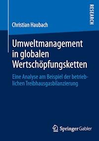 Umweltmanagement in globalen Wertschöpfungsketten - Christian Haubach - E-Book