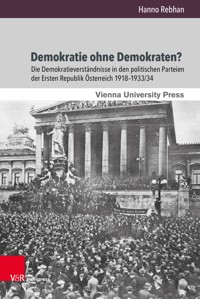 Demokratie ohne Demokraten? - Hanno Rebhan - E-Book