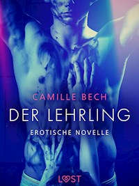 Der Lehrling - Erotische Novelle - Camille Bech - E-Book
